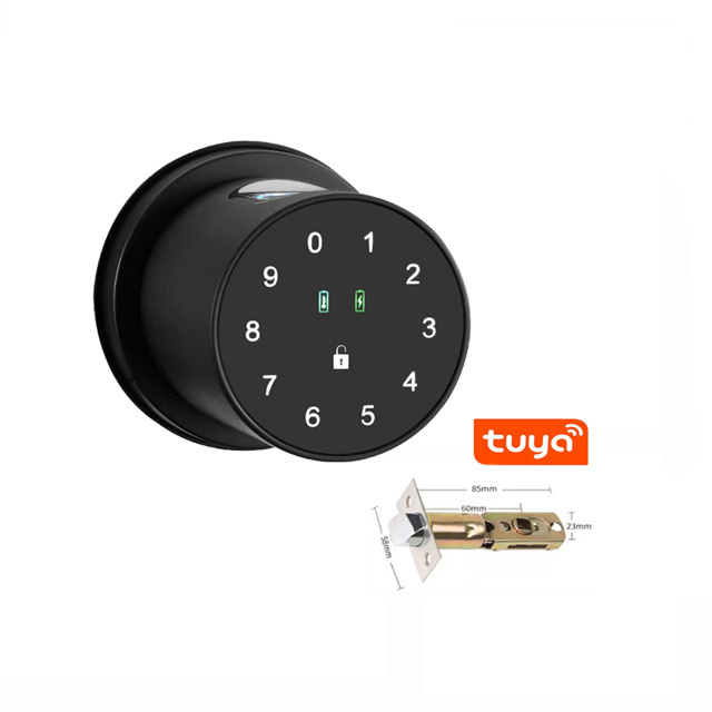 fingerprint deadbolt round smart locks door lock and dead bolt 2.4 ghz mobile wi-fi for magnetic usa 4 in 1 wi fi  tuya