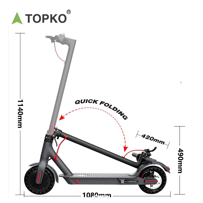 TOPKO Self Balancing Foldable 350 -500W 8-10 Inch Wheels Powerful Adults & Kids Use Electric Scooter