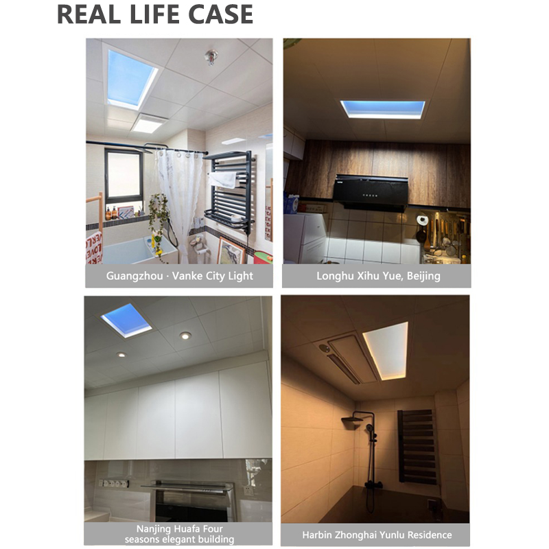 DGLUX Skylight Smart Home Light Toilet Corridor Living Room Kitchen Embedded Ceiling Light Sky Modern Simple Clear Natural Blue