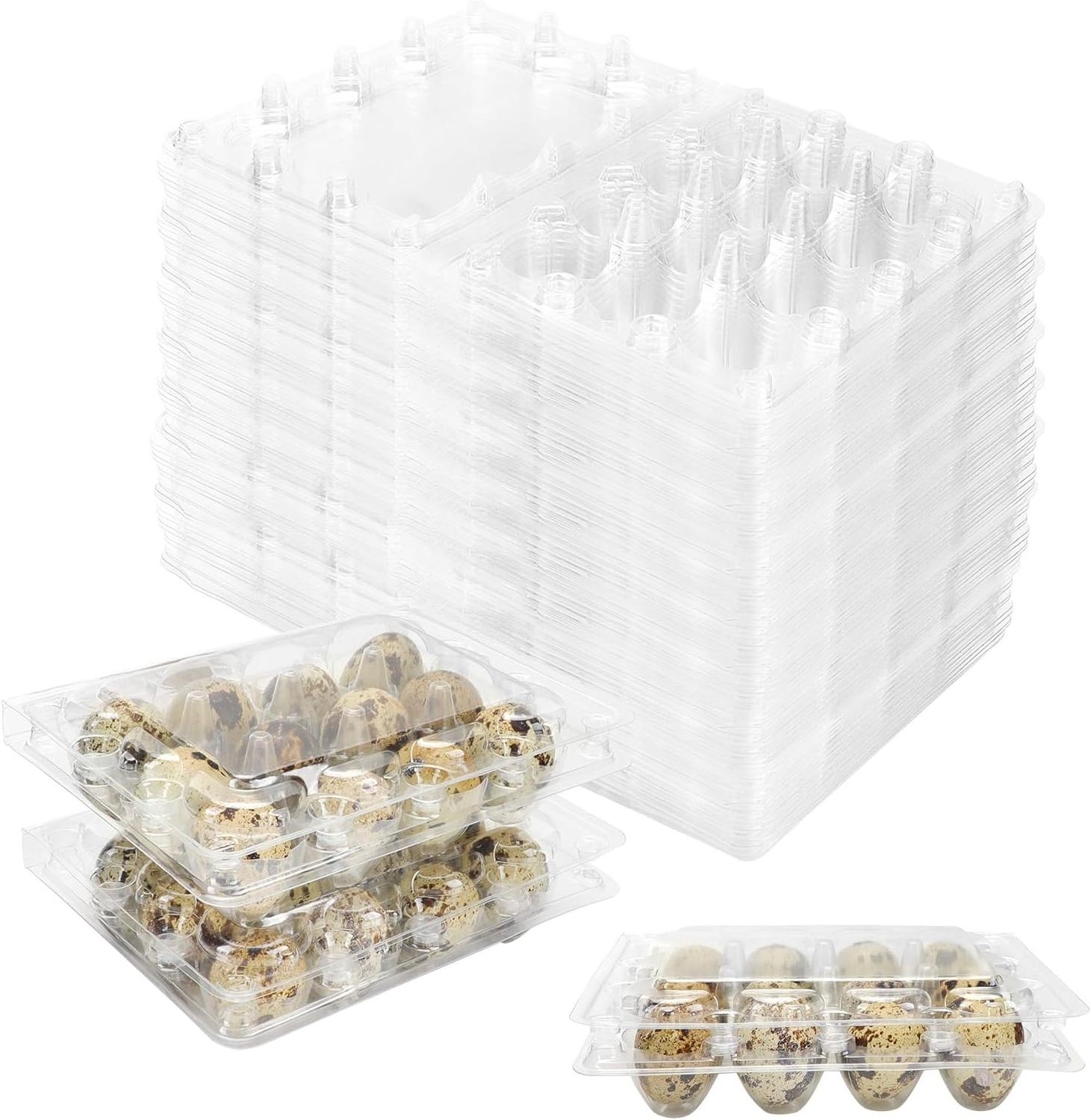 12-Pcs Disposable PET Plastic Quail Egg Tray Small Pheasant & Pigeon Eggs Container Refrigerator Egg Storage Box