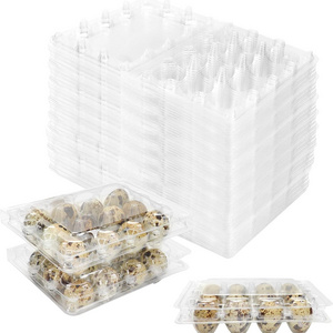 12-Pcs Disposable PET Plastic Quail Egg Tray Small Pheasant & Pigeon Eggs Container Refrigerator Egg Storage Box