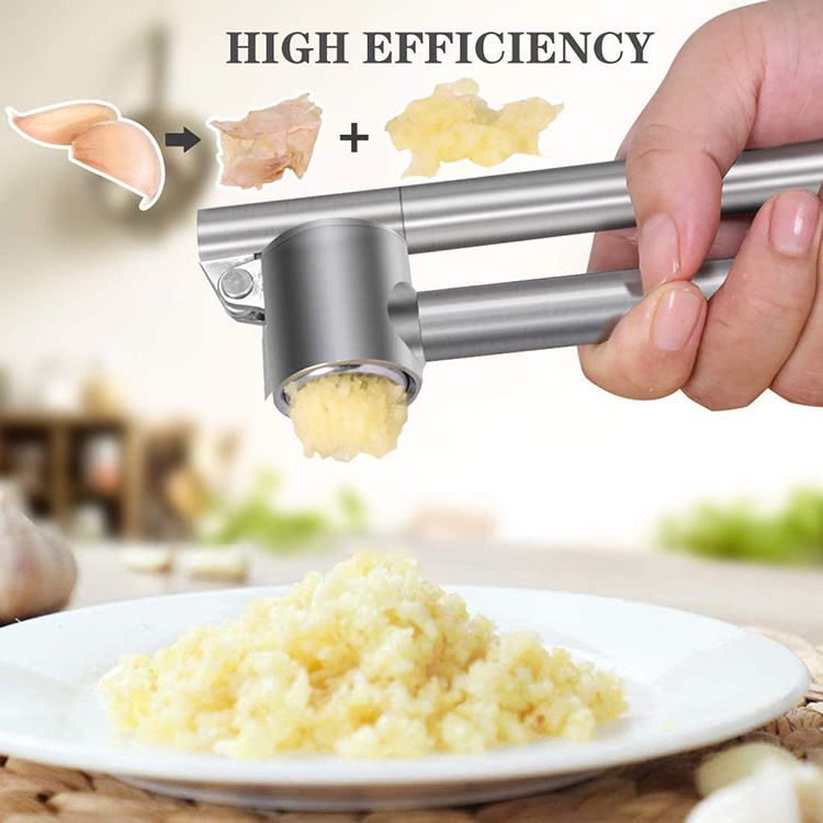 Garlic Press Mincer Ginger Crusher Peeler Squeezer Stainless Steel Garlic Presser Chopper Sets Professional Food Grade