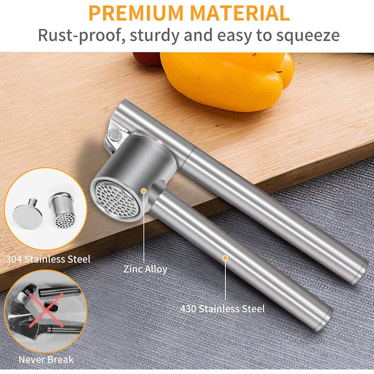 Garlic Press Mincer Ginger Crusher Peeler Squeezer Stainless Steel Garlic Presser Chopper Sets Professional Food Grade