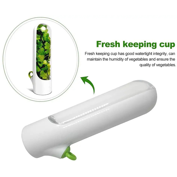 Wholesale Herb Savor Storage Container Fresh Herb Keeper Coriander Transparent Refrigerator Herb Saver