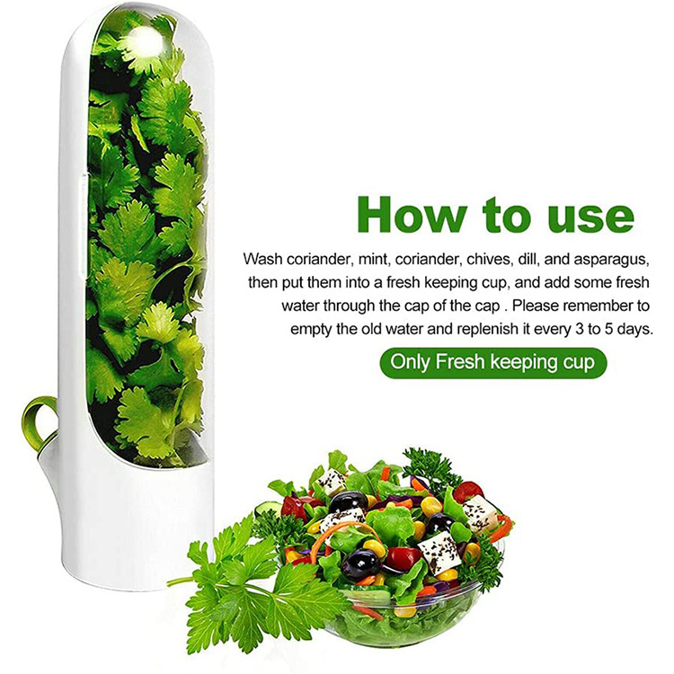 Wholesale Herb Savor Storage Container Fresh Herb Keeper Coriander Transparent Refrigerator Herb Saver