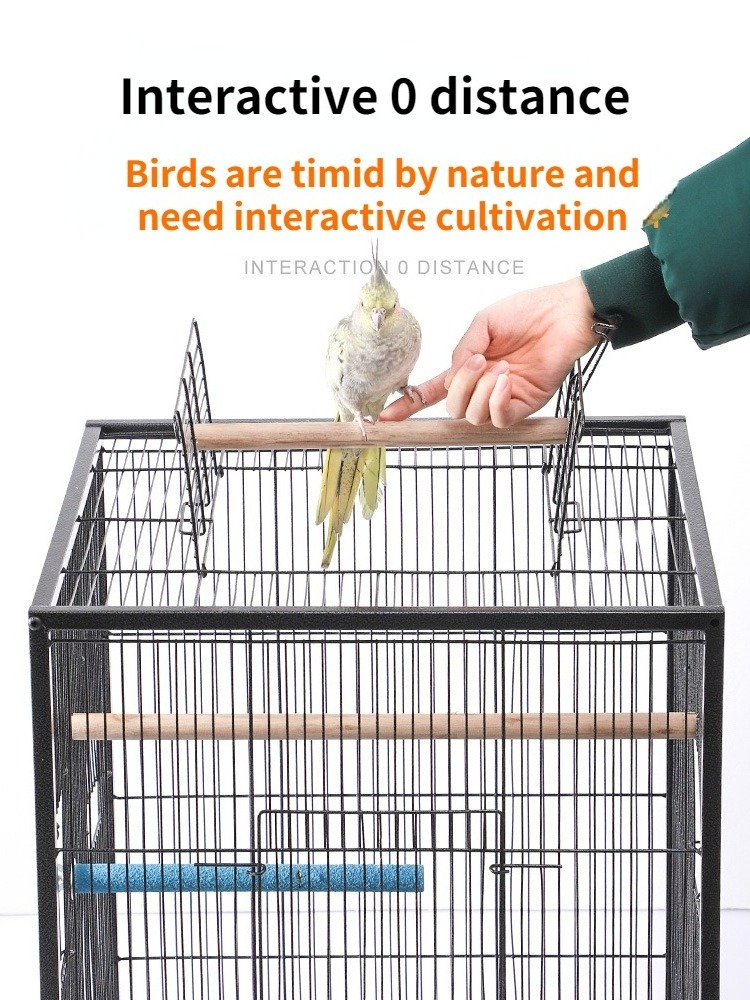 wholesale Hot Sell Luxury Parrot Big Bird Cage Bird Nest Supplies Stainless Steel Pet large breeding Bird cage