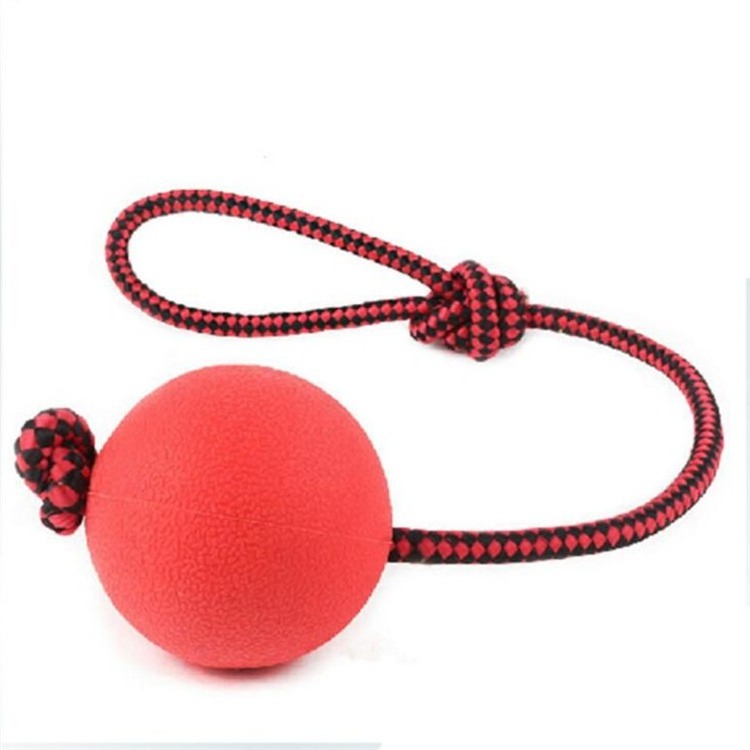 Manufacturer Wholesale Durable Solid Rubber Dog Chew Resistance to bite Tooth Cleaning Training Ball Pet Toy with Rope Handle