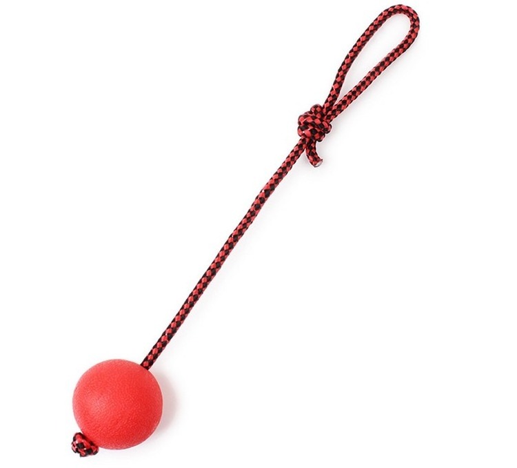 Manufacturer Wholesale Durable Solid Rubber Dog Chew Resistance to bite Tooth Cleaning Training Ball Pet Toy with Rope Handle