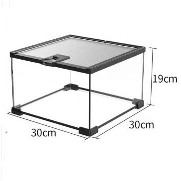 2022 best products 30*30*19cm reptile glass terrarium cage for rain forest climbing frog gecko snake pet cage