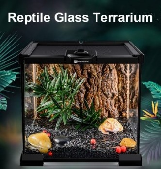 2022 best products 30*30*19cm reptile glass terrarium cage for rain forest climbing frog gecko snake pet cage