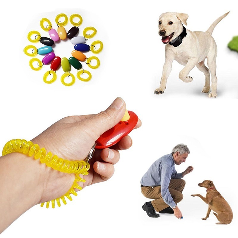 Wholesale Dog Button Clicker Plastic Sound Trainer Pet Training Tool Wrist Band Dog Training Clicker Silbato Perro Dog Whistle