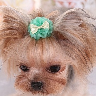 Pet Dog Cat Headdress Sweet Maltese Yorkshire Hairpin Pet Clip Hair Accessories  Polyester Dog Bow