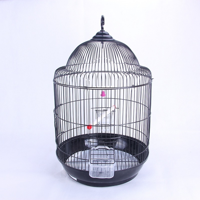 Medium Large Classical European Round 34*55Cm Lovebird Round Canary Big Parrot Bird Cage