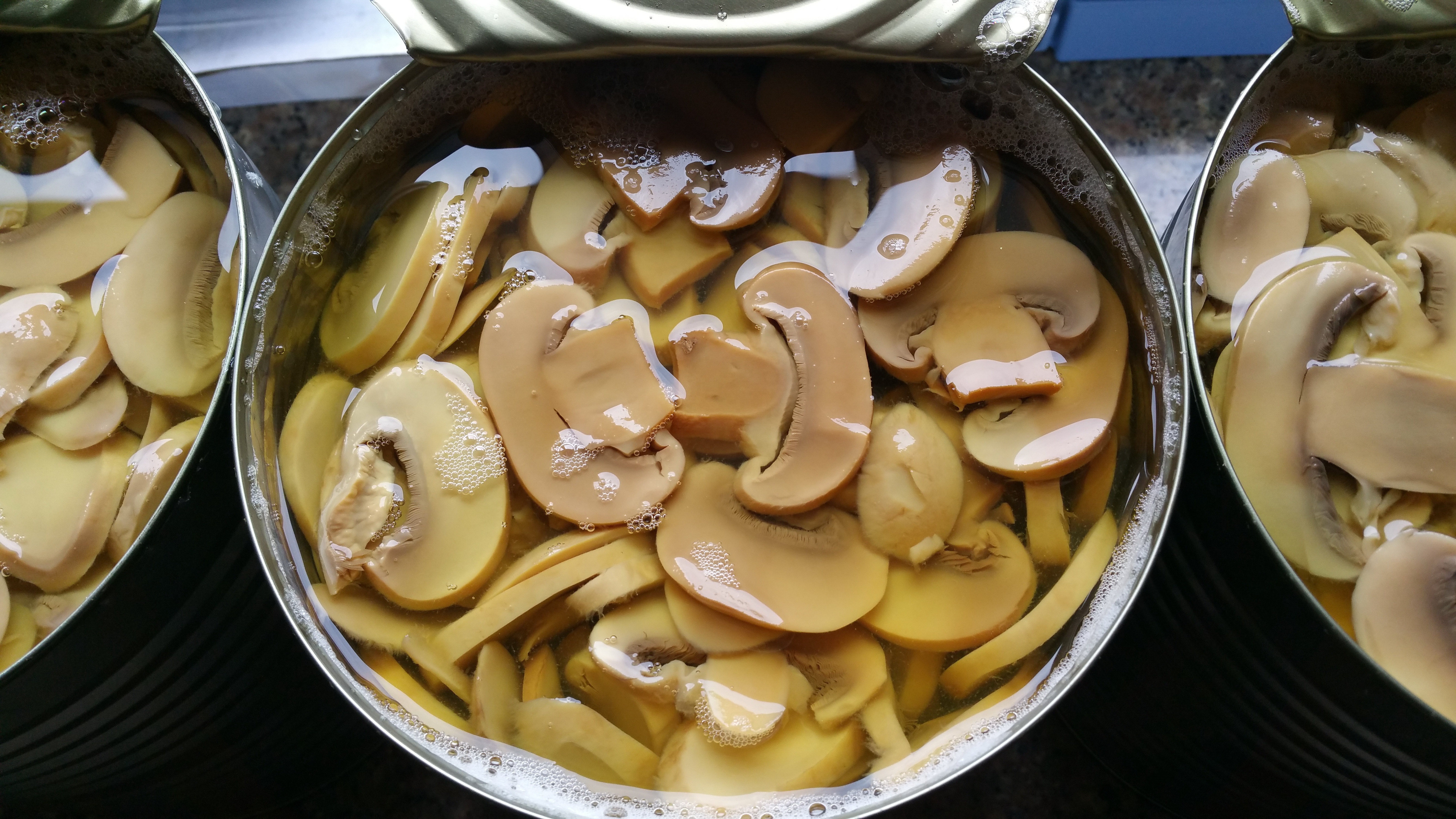 Canned mushrooms slice