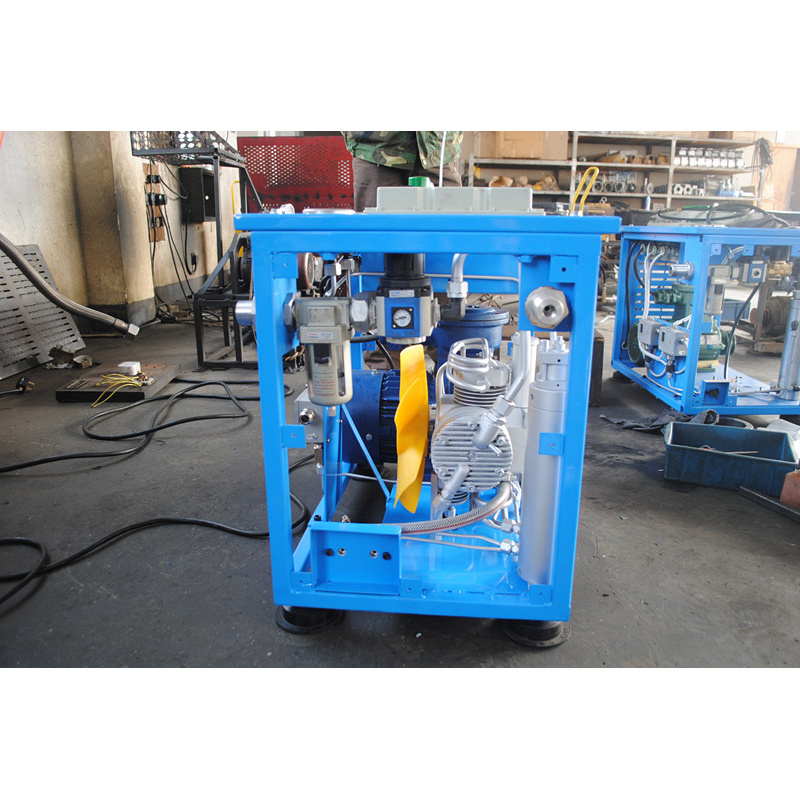 Customized Small Gas Compressor Special Gas Filling Station Cng Compressor For Home Us