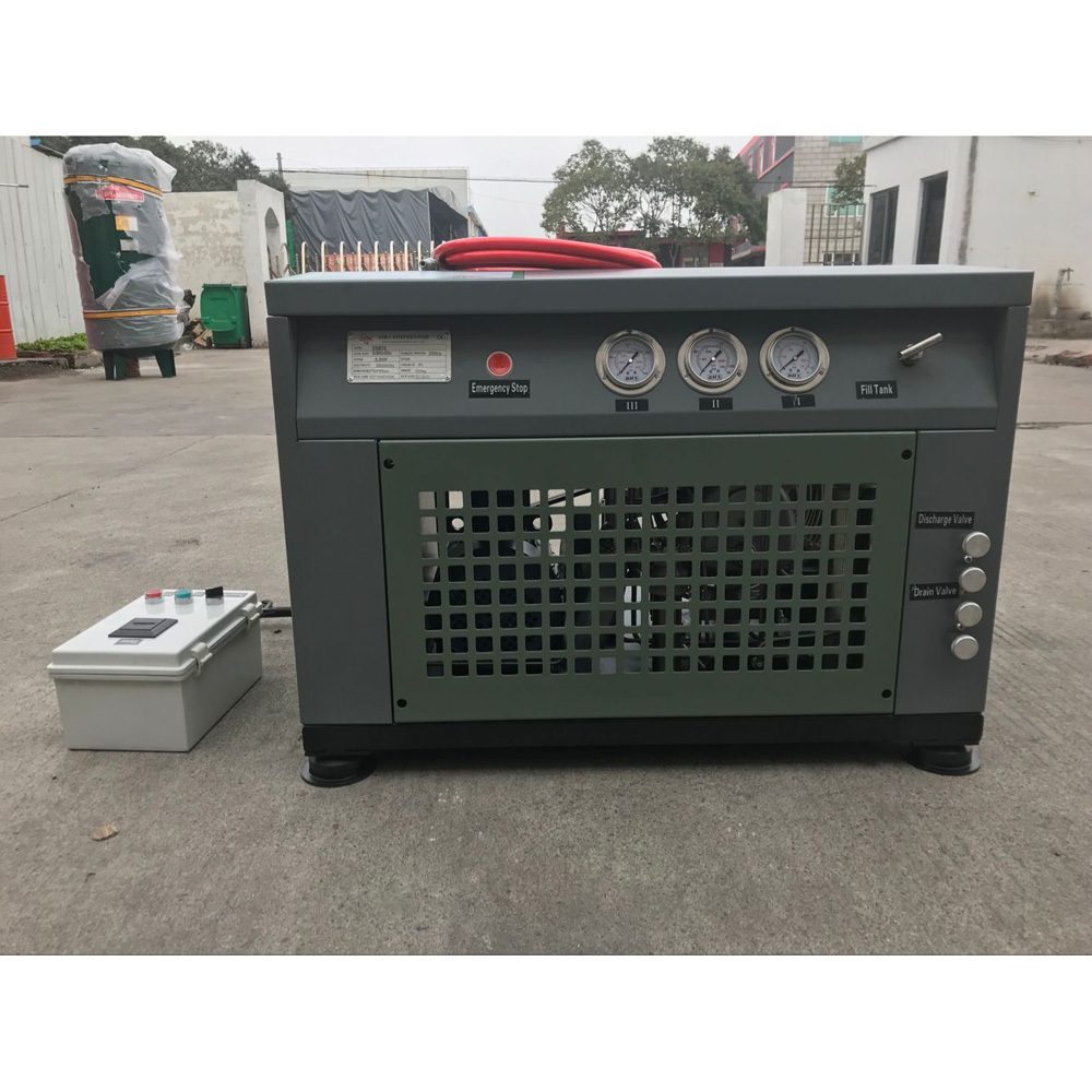 Customized Version 30 Mpa Natural Gas Filling Station Home Cng Compressor For Car Home (BX6CNGB)