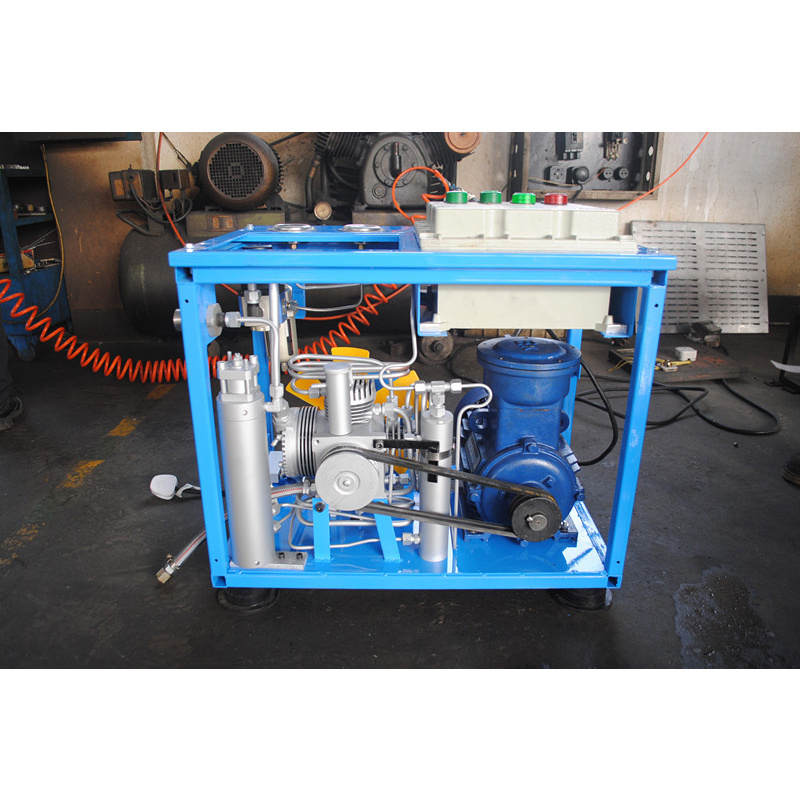 Customized Small Gas Compressor Special Gas Filling Station Cng Compressor For Home Us