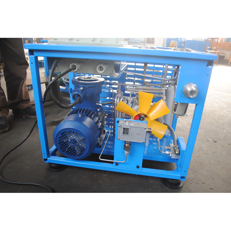 China Industrial Machinery Mini Cng Filling Compressor Home Cng Compressor For Filling Station (BXCNGG6)