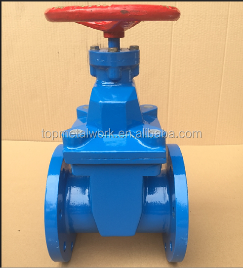 TMW Valve PN6 PN10 PN16 Cast Iron Ductile Iron Worm Gear Double Flange Type Soft-Sealing Gate Valve