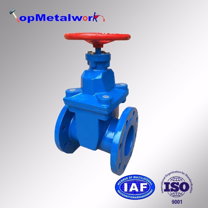 TMW Valve PN6 PN10 PN16 Cast Iron Ductile Iron Worm Gear Double Flange Type Soft-Sealing Gate Valve