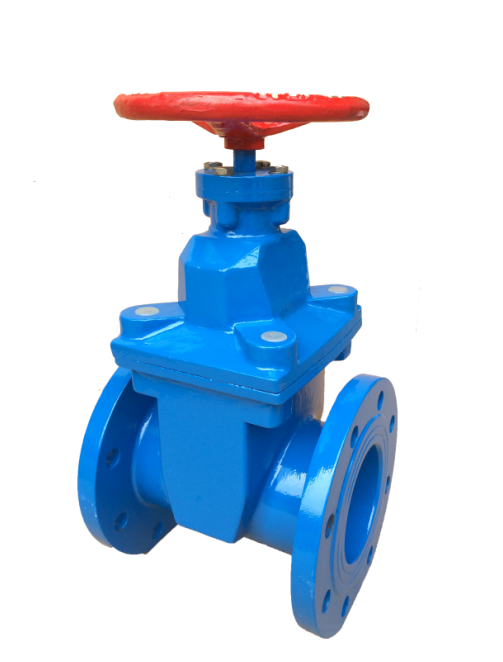 TMW Valve PN6 PN10 PN16 Cast Iron Ductile Iron Worm Gear Double Flange Type Soft-Sealing Gate Valve