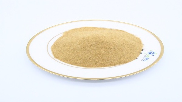 Food grade brewer yeast powder instant dry yeast