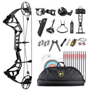 TOPOINT ARCHERY Acuity 28 Compound Bow And Arrow package Hunting Bow Archery Bow CNC Milling Riser USA Gordon Limb BCY String