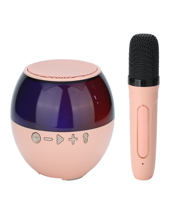 Handheld Audio Portable Rechargeable Small Home Ktv Children Colorful Led Light Wireless Karaoke Speaker