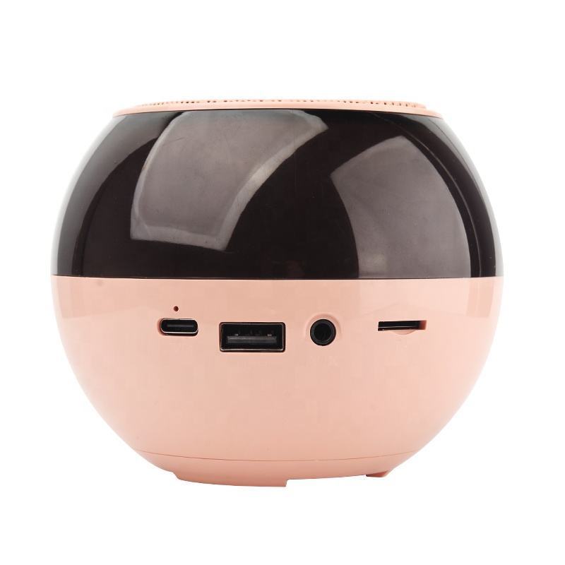 Handheld Audio Portable Rechargeable Small Home Ktv Children Colorful Led Light Wireless Karaoke Speaker