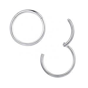 316L Surgical Steel Piercing Titanium G23 Hinged Segment Ring Septum ring