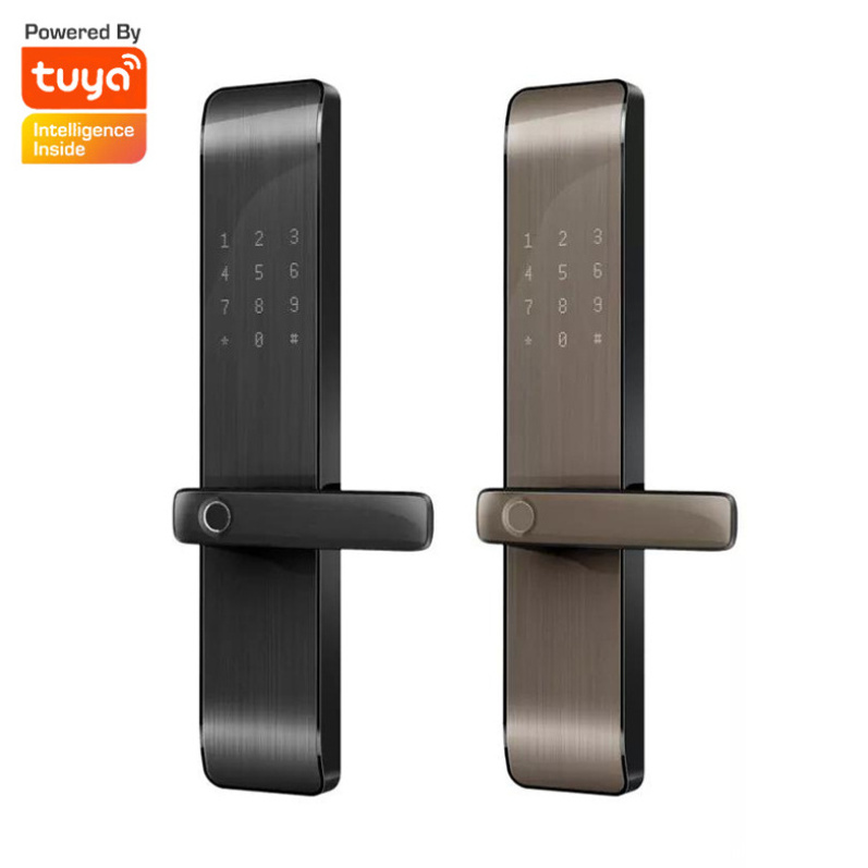 High Quality Tuya Zigbee Wifi App Smart Biometric Fingerprint Lock Remote Control Fingerprint Door Lock Gray Gold Color