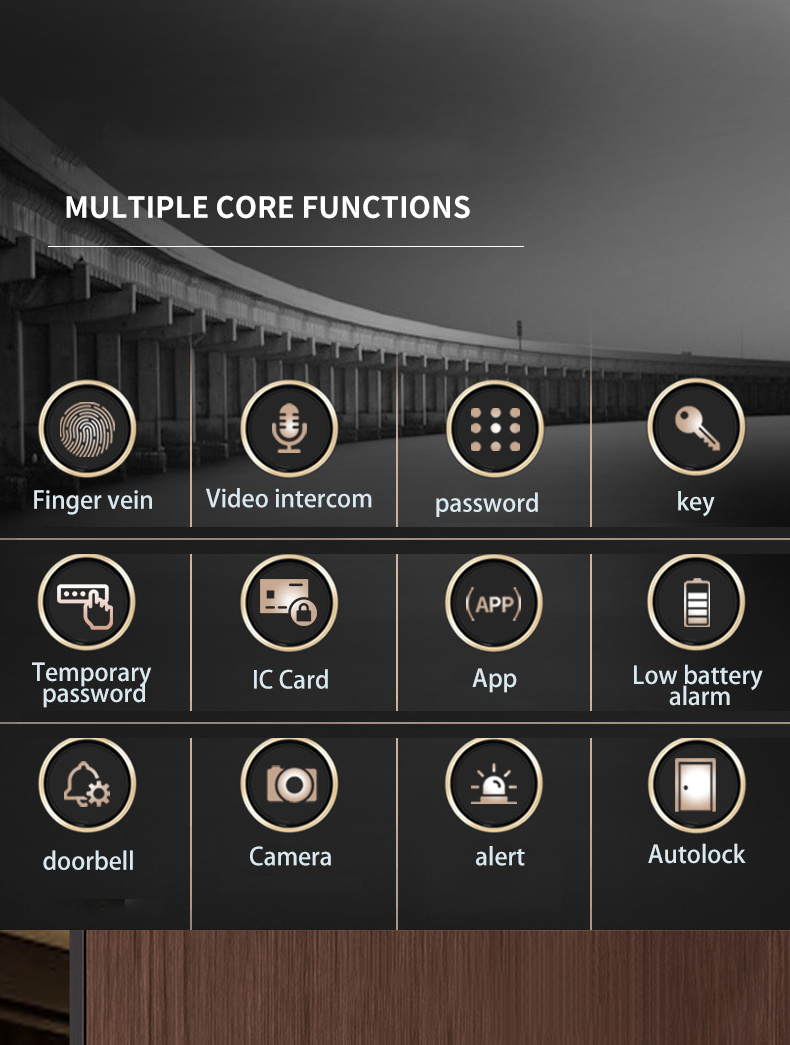 Smart finger vein code electronic data lock with smart home camera for authors