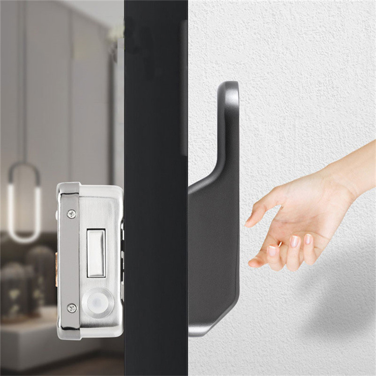 fingerprint unlocking remote control locks rim lock smart access control tuya or TT lock Das geheimschloss.