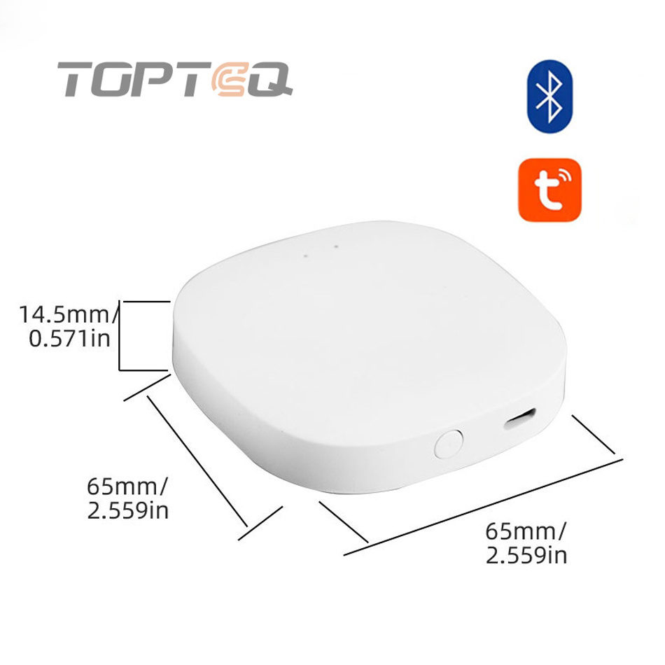 TOPTEQ BG5 Smart Lock Gateway Wifi BLE Tuya Remote Control With Alarm System For Smart Home Alexa Google Home