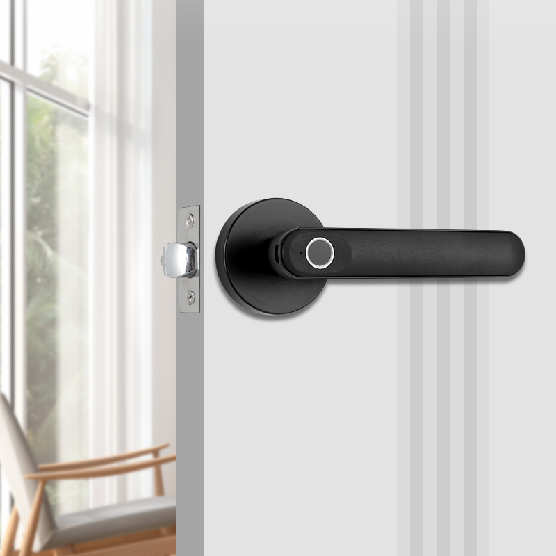 TOPTEQ O3-NK Tuya Ble Intelligent Lever Lock Biometric Smart Lock Keyless Electronic Wooden Door Lock