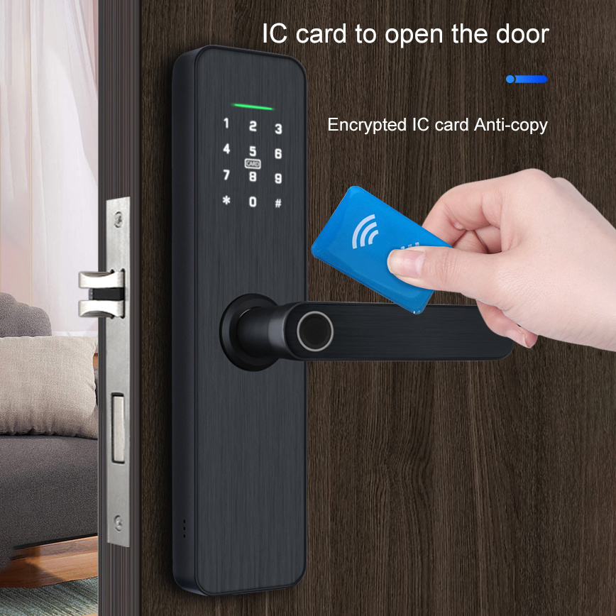 Biometric Door Locks Fingerprint Tuya Wifi Smart Lock Fingerprint Keyless Exterior Door Lock With Handle