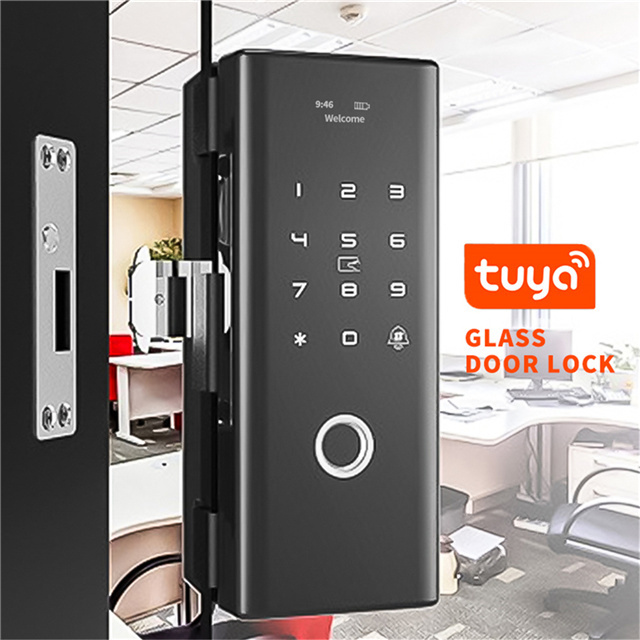 Smart Wifi Commercial door lock Keypad Fingerprint Keyless Front Sliding Electric Eure Ttlock Glass Door Lock