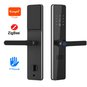 Tuya Password Digital Door Smart Lock Wifi Biometric Fingerprint TTlock Smart Door lock