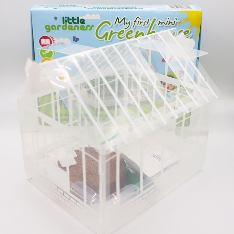 hot sell Creativity Kids Christmas Gift Children Mini Green House Greenhouse Kit