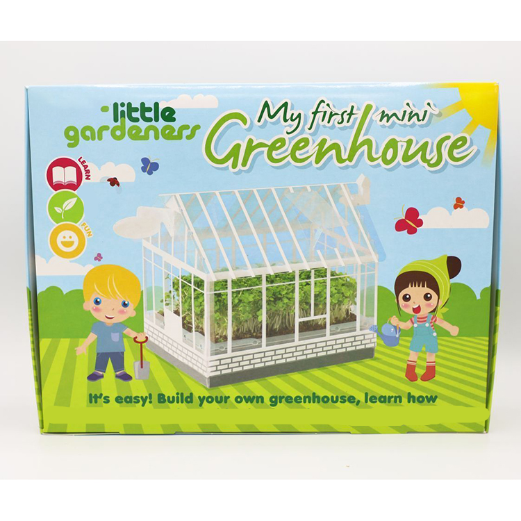 hot sell Creativity Kids Christmas Gift Children Mini Green House Greenhouse Kit