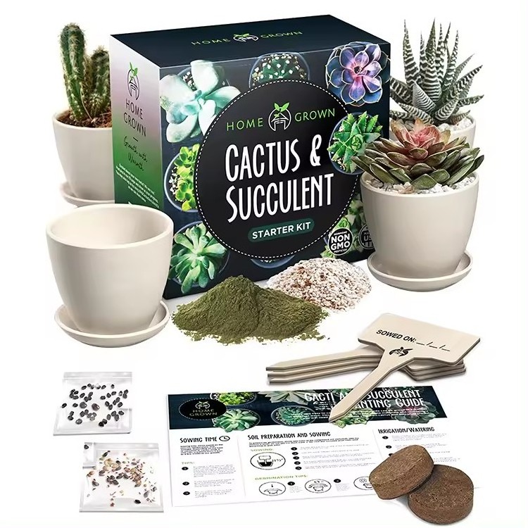 Mini cactus succulent starter Kit garden succulent plant kit for beginners - 4pcs succulents sets