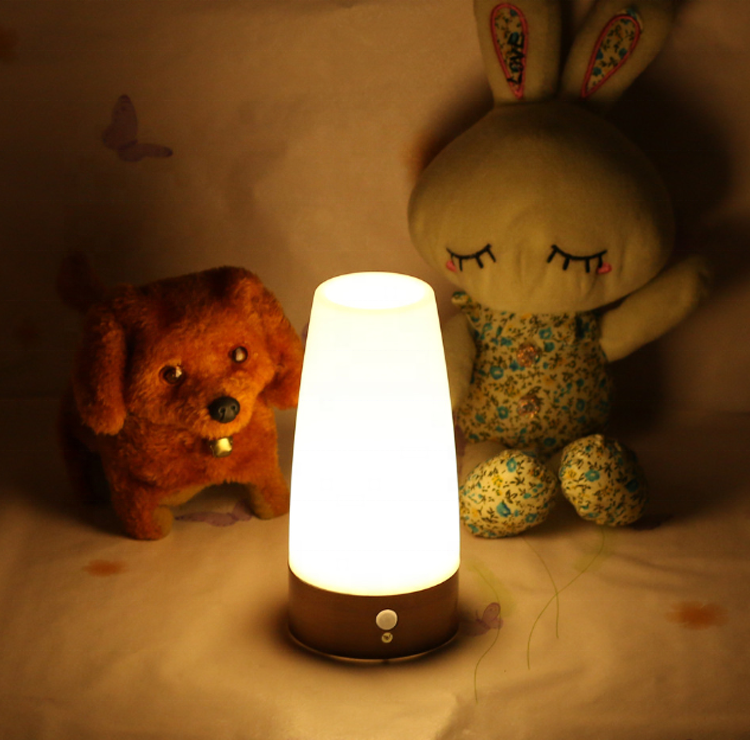 New Hot Selling LED Indoor Motion Sensor Led Night Light Battery Operated Night Light Lamp