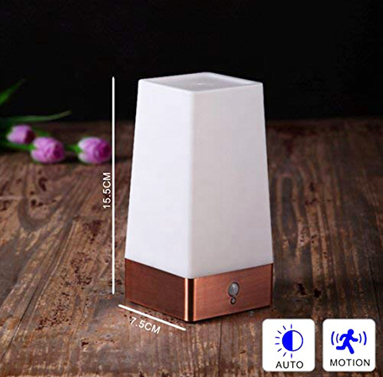 Indoor Battery-Operated Motion Led Sensor Night Light Portable Led Night Lamp for Kids Room, Hallway