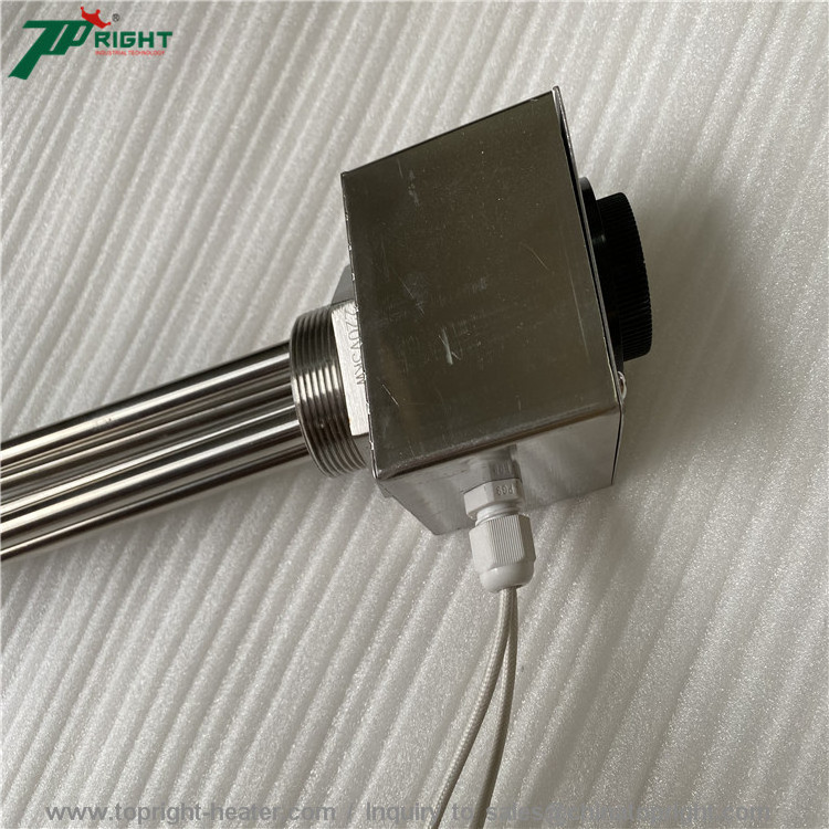 2KW Screw plug tubular water immersion heater with temperature control for water