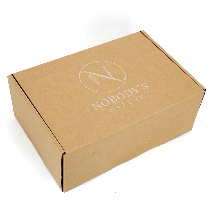 Eco Friendly Custom Printed Logo Shipping Boxes Kraft Packages Postal Box Custom Corrugated Apparel Mailer Box For Underwear