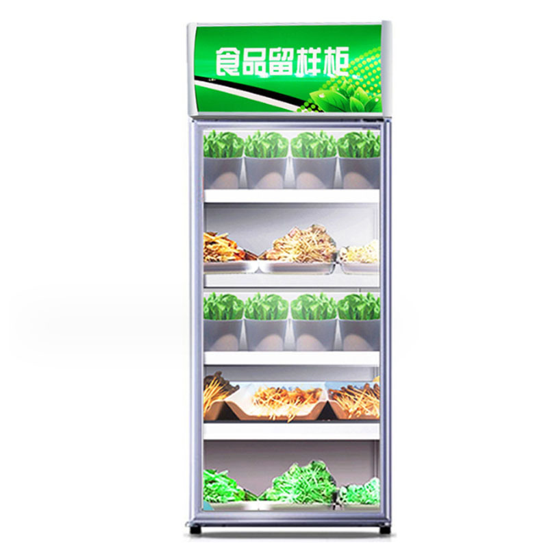 New Style Food sample Commercial Single Door Glass Door Double Cooler Beverage Showcase Fridge with Safety lock