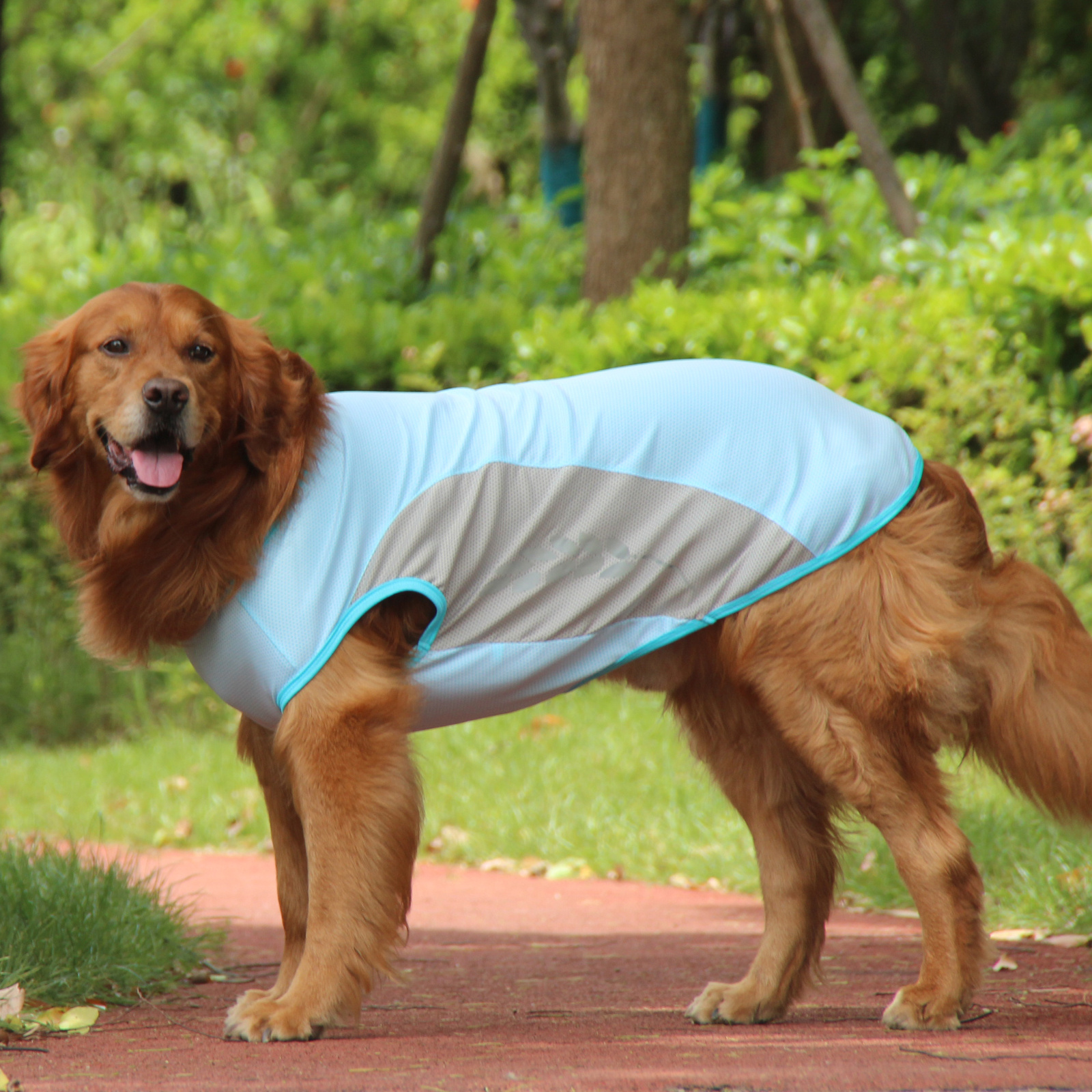 Pet Cooling Vest For Dogs Lightweight Jacket Reflective Quick-cooling Summer Pet Coat For Small, Medium And Large Dogs Clothing