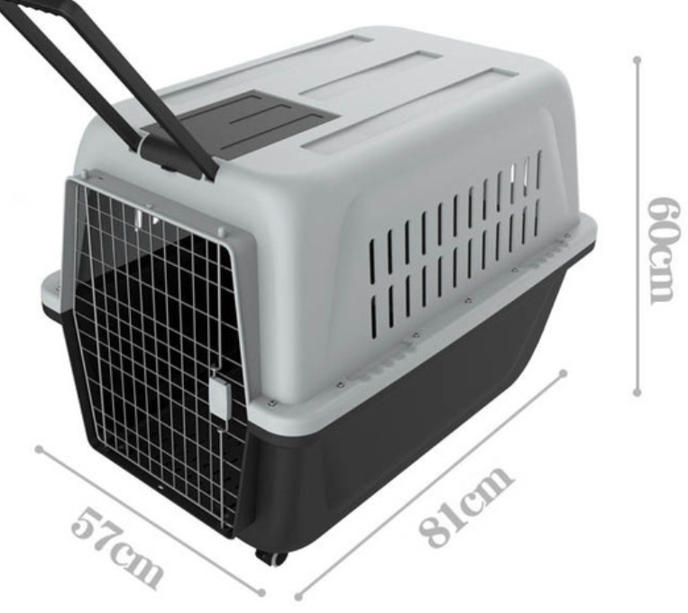 Pet air box cat cage portable out dog pet out consignment air box transport box