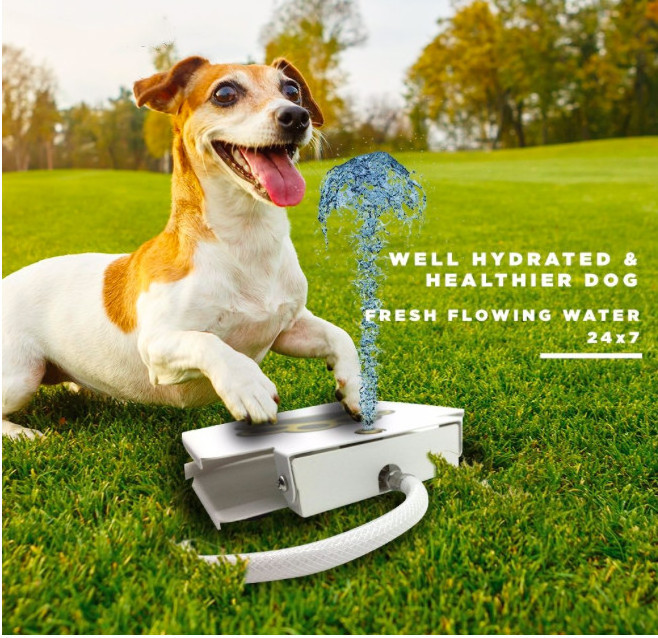 Durable Outdoor Pet Dog Drinking Fresh Water Fountain Dispenser Feeder Automatic Step-on Push Pedal Funny Dog Toys Water Bottles