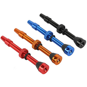 Professional 40mm 44mm 48mm 60mm bicycle presta valve tubeless valve